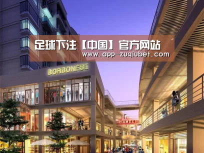 案例展示一(图1)