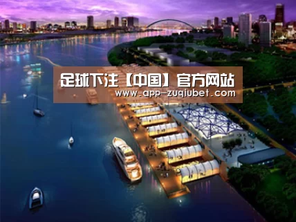 案例展示八(图1)