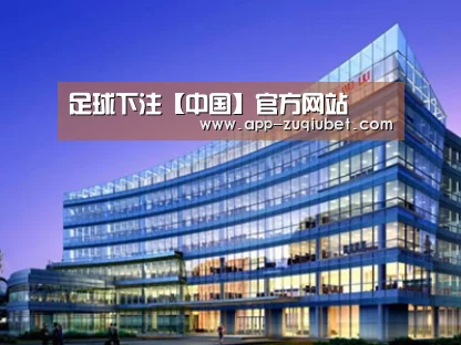 案例展示五