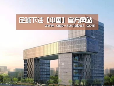 案例展示四